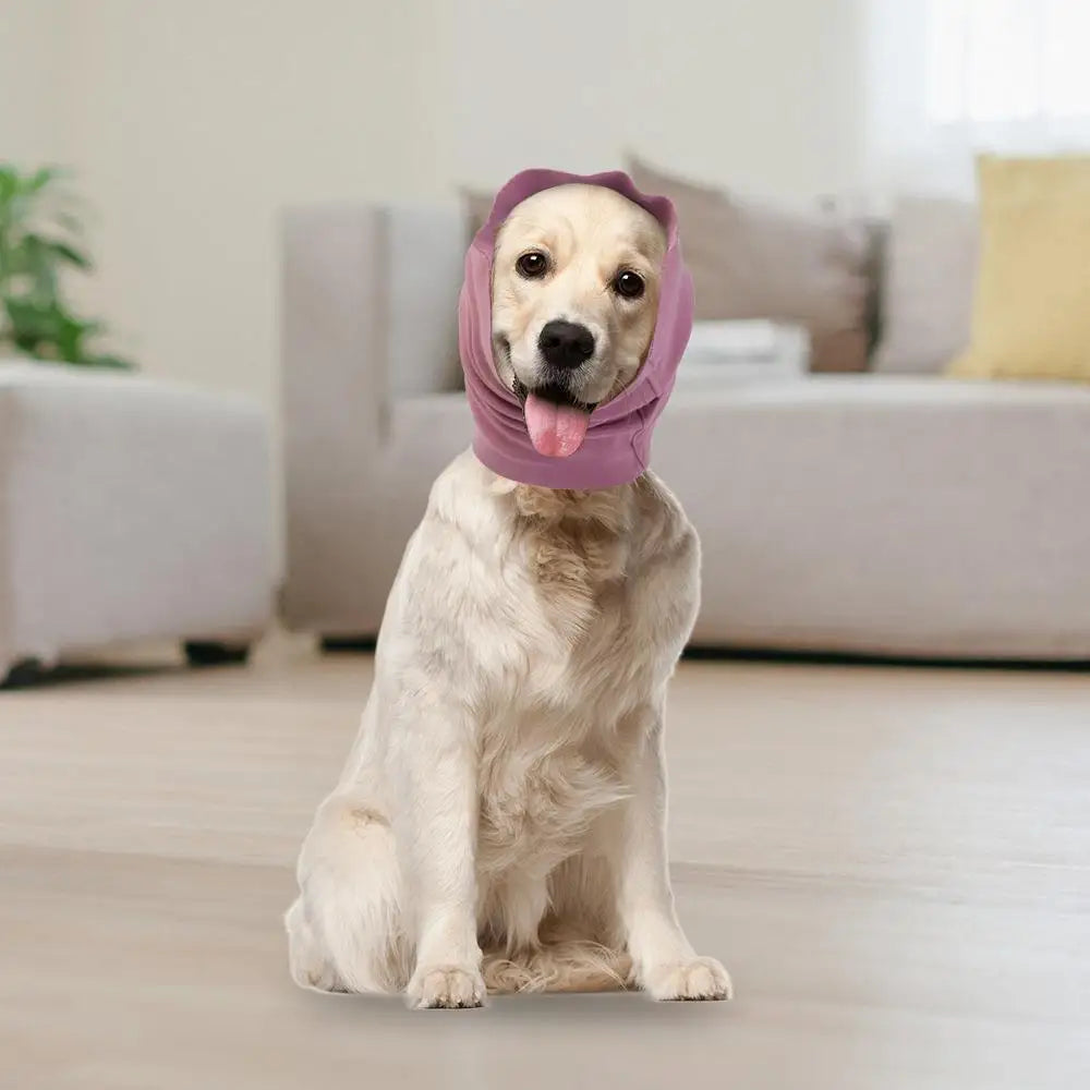 Pet Earmuff Headband