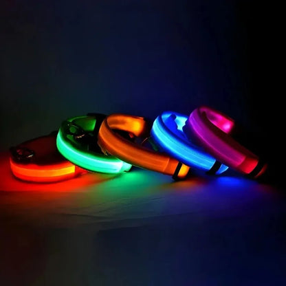 LED Night Dog Collar