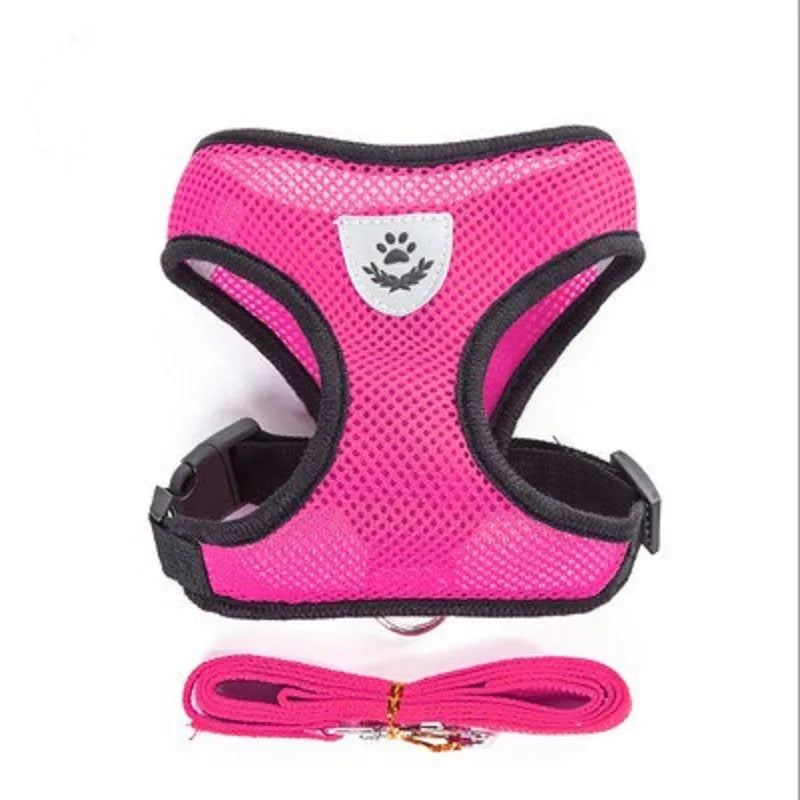 cat harness with leash, pink mesh with black seams