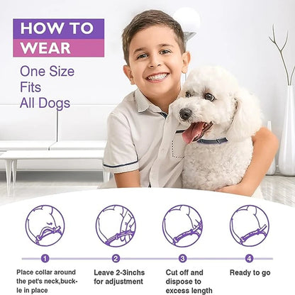 Pet Calming Collar