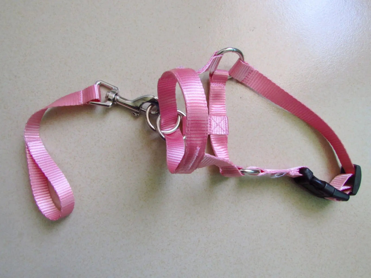 pink, head harness training leash