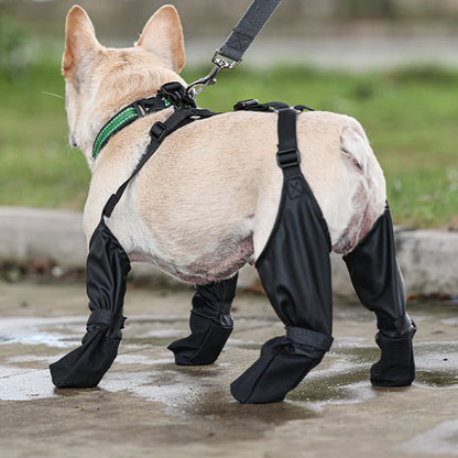 black suspender boots for dogs from the back, showing the strap and clip that attaches to the collar