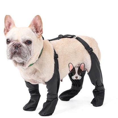 French bulldog, black suspender boots, the boot sits high  on the dogs leg to help keep them dry. the suspenders attach to each other which helps keep them up.