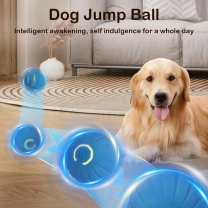 Interactive Toy Ball