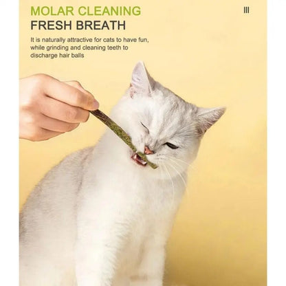 mint stick for cats helps keep  their breath fresh, teeth clean when chewing on the mint stick