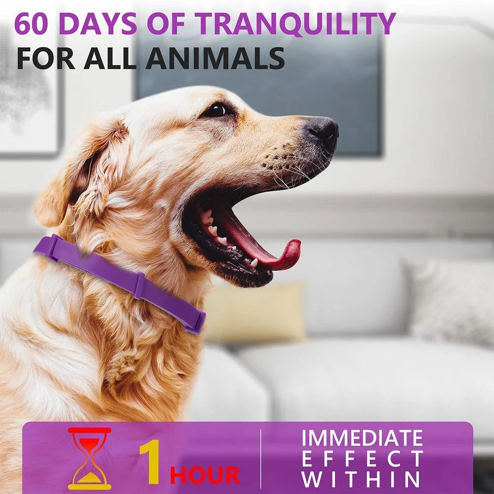 pet calming collar, gives the pet 60 days of tranquility, takes about 1hr for the effect 