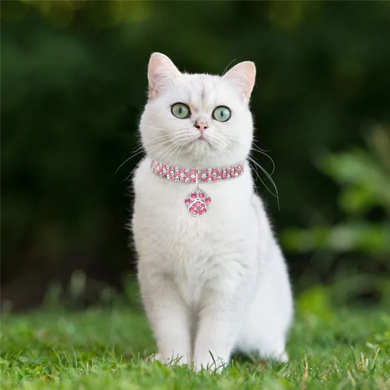rhinestone collar for cats, image of a cat wearing a pink collar