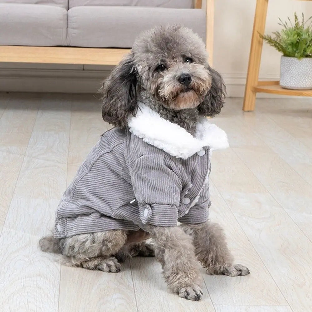 Dog Winter Jacket